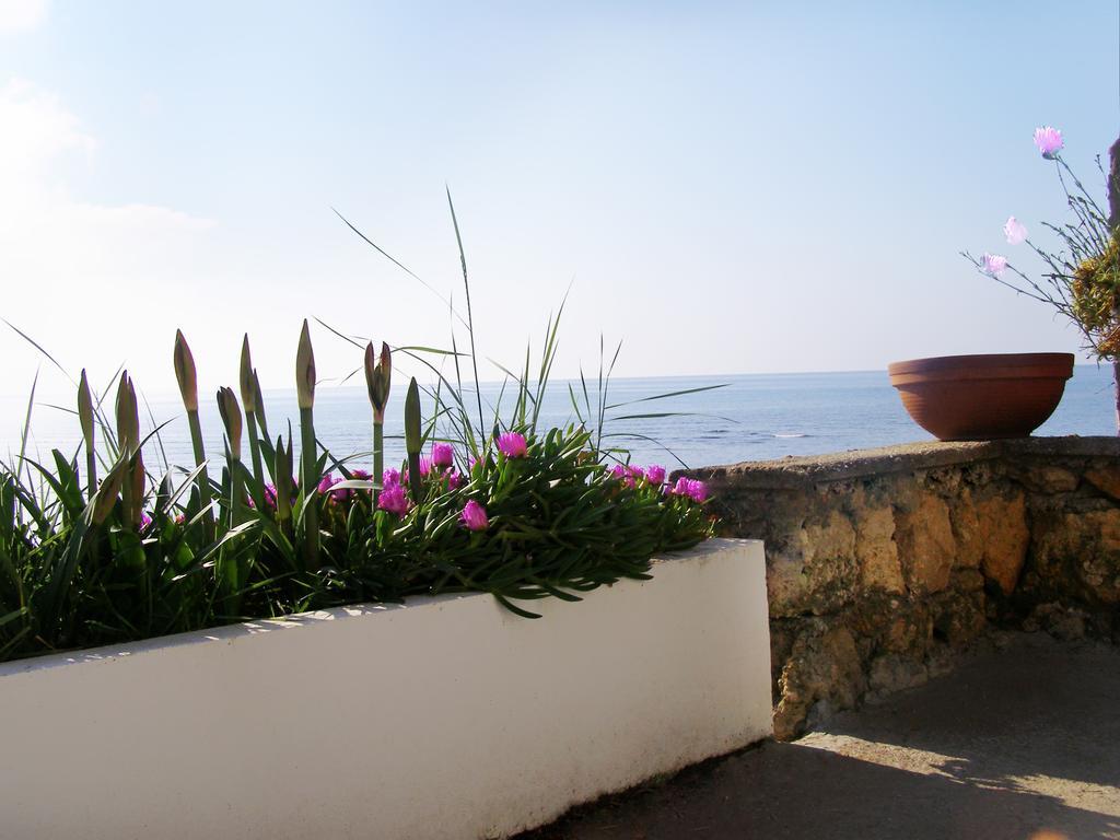 Palastura Apartments Ulcinj Exteriör bild
